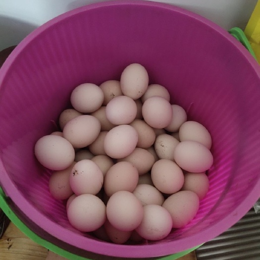 酉阳土鸡蛋 孕妇宝宝老人上班族的食品，送货到家，破损包赔，