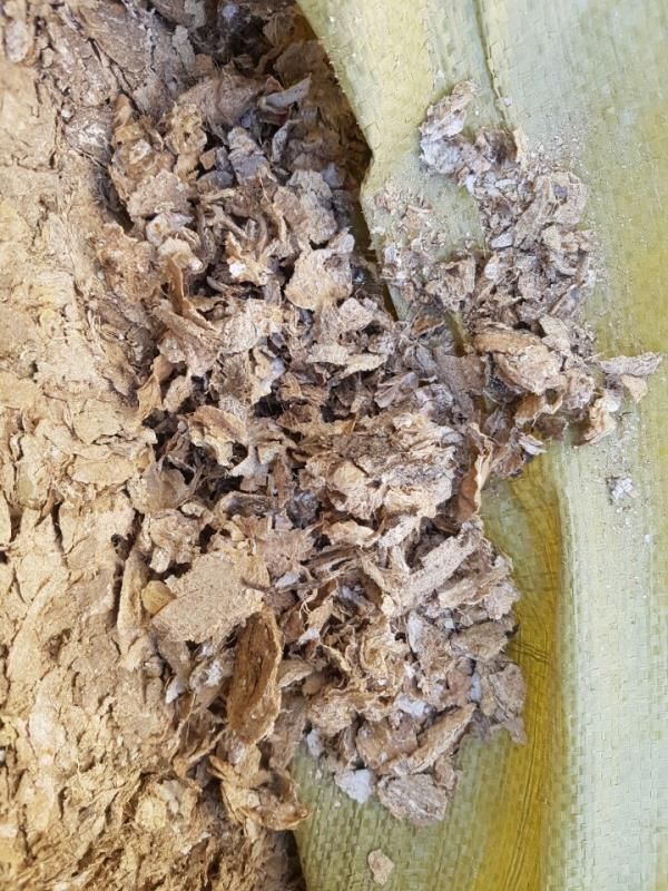新疆图木舒克库车阿克苏库尔勒棉籽壳棉渣棉粕棉仁棉籽玉米芯压块