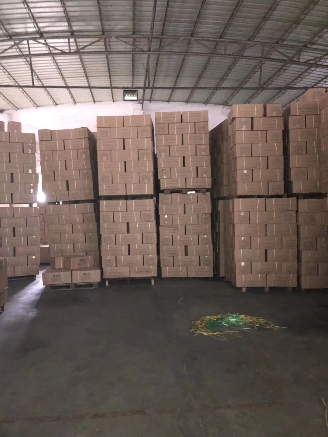 穴盘/育苗盘 厂家直销穴盘 育苗盘 栽苗盘 育苗专用