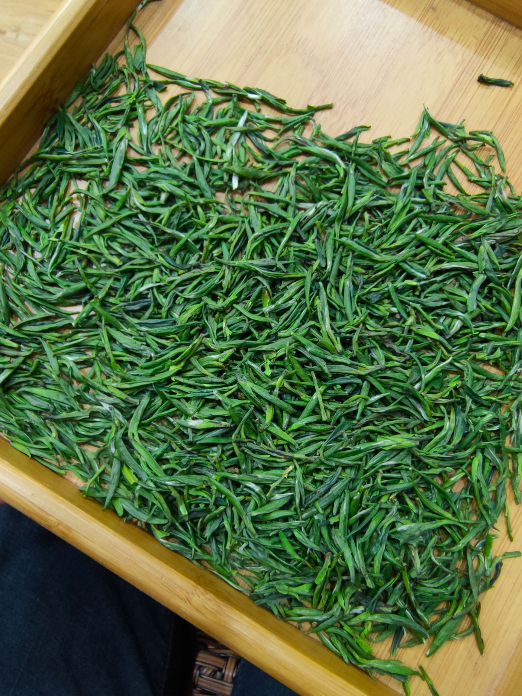 新茶2025年 雀舌