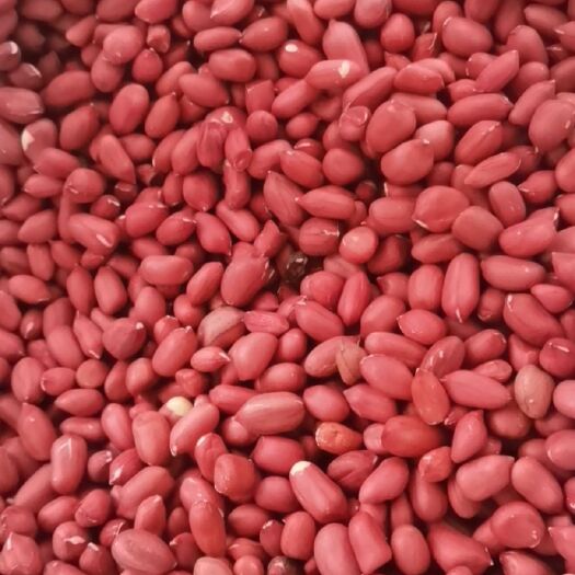 四粒红种子米