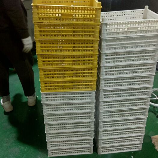 凤城市泡沫箱 批发蓝莓箱   各种颜色  质量好