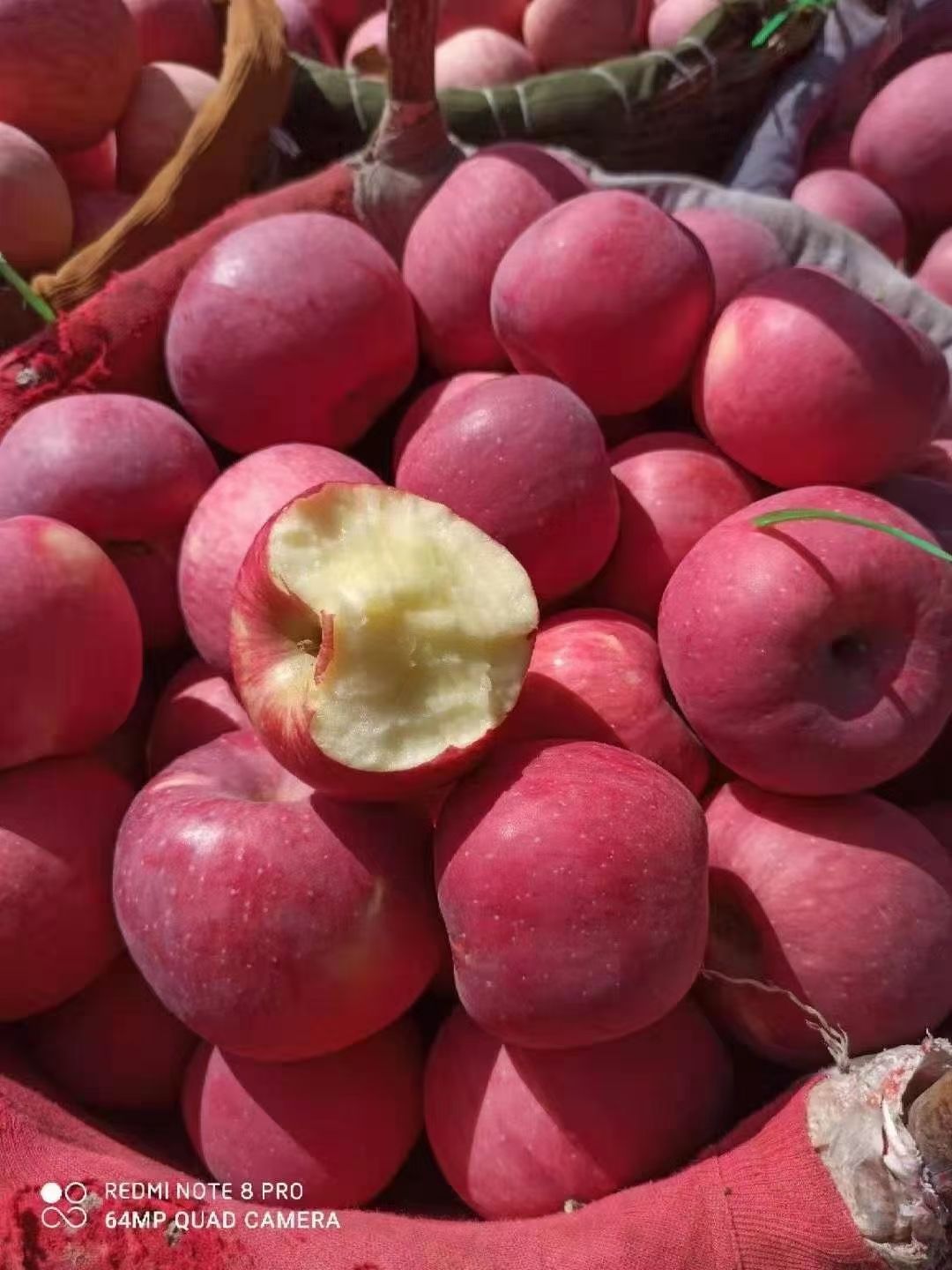  洛川红富士苹果