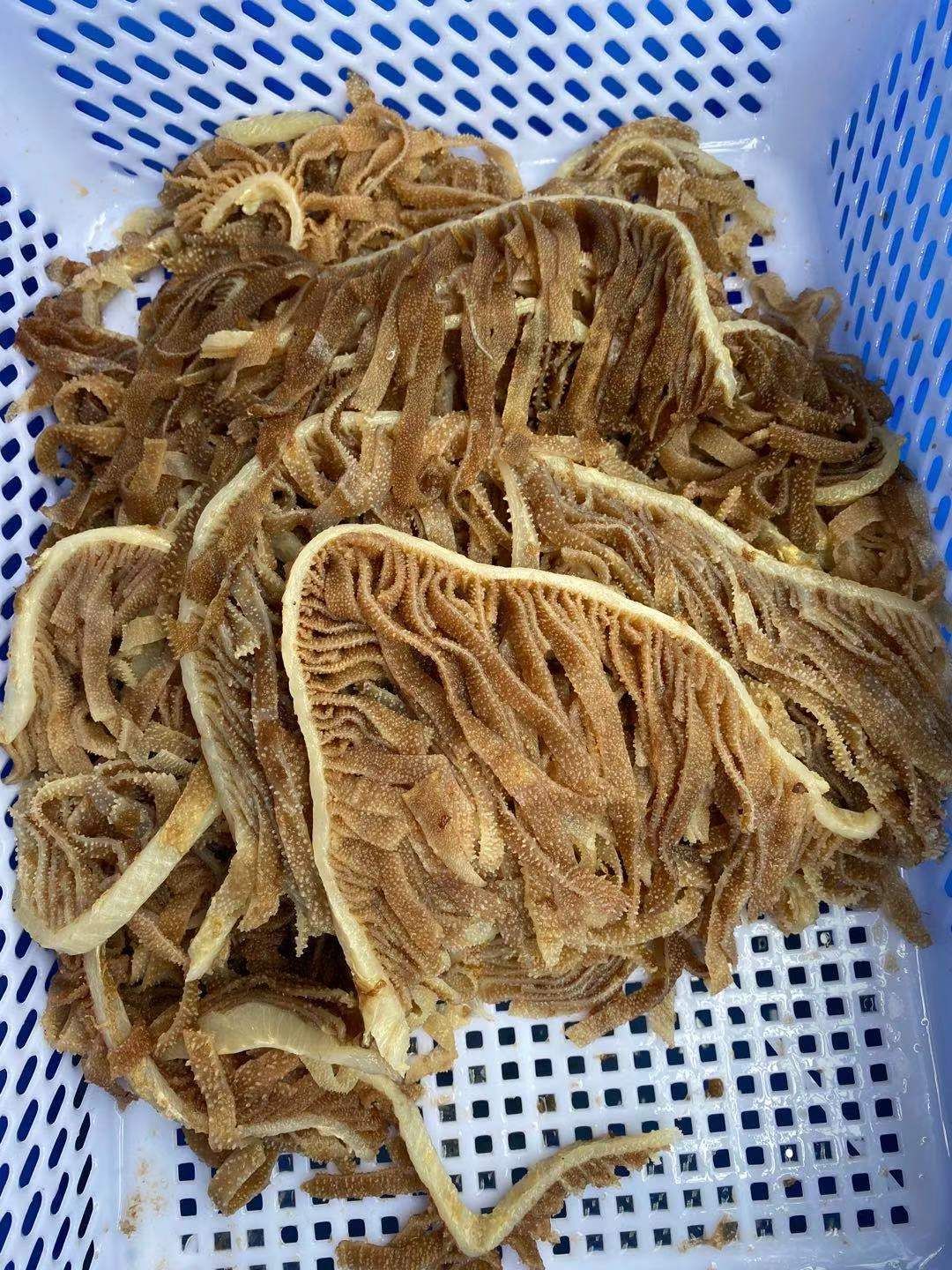 黑千层毛肚 本色黑千层 牛百叶 毛肚