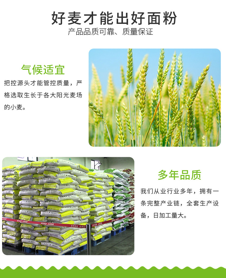 面筋粉 五得利六星910小麦粉25kg面粉馒头包子饺子中式面