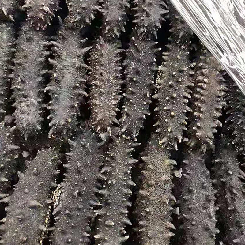 海刺参  淡干海参