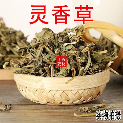 昆明臭灵丹草  云南中药材香料 灵香草零陵香 灵草 香草香灵草钓鱼