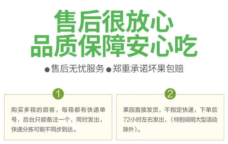 【粉面香甜】黄元帅苹果水果奶油苹果新鲜采摘产地直供整箱包邮