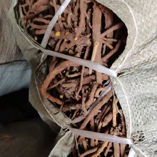 林州市上等黄芩，大饮片货，干净，20吨，需要的看过来。