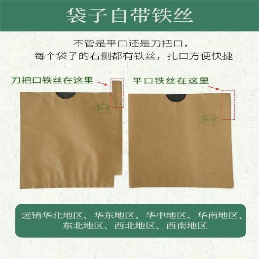 三亚种植套袋 水果套袋纸袋荔枝果树梨树葡萄种植100只桃树遮光防虫套果袋的