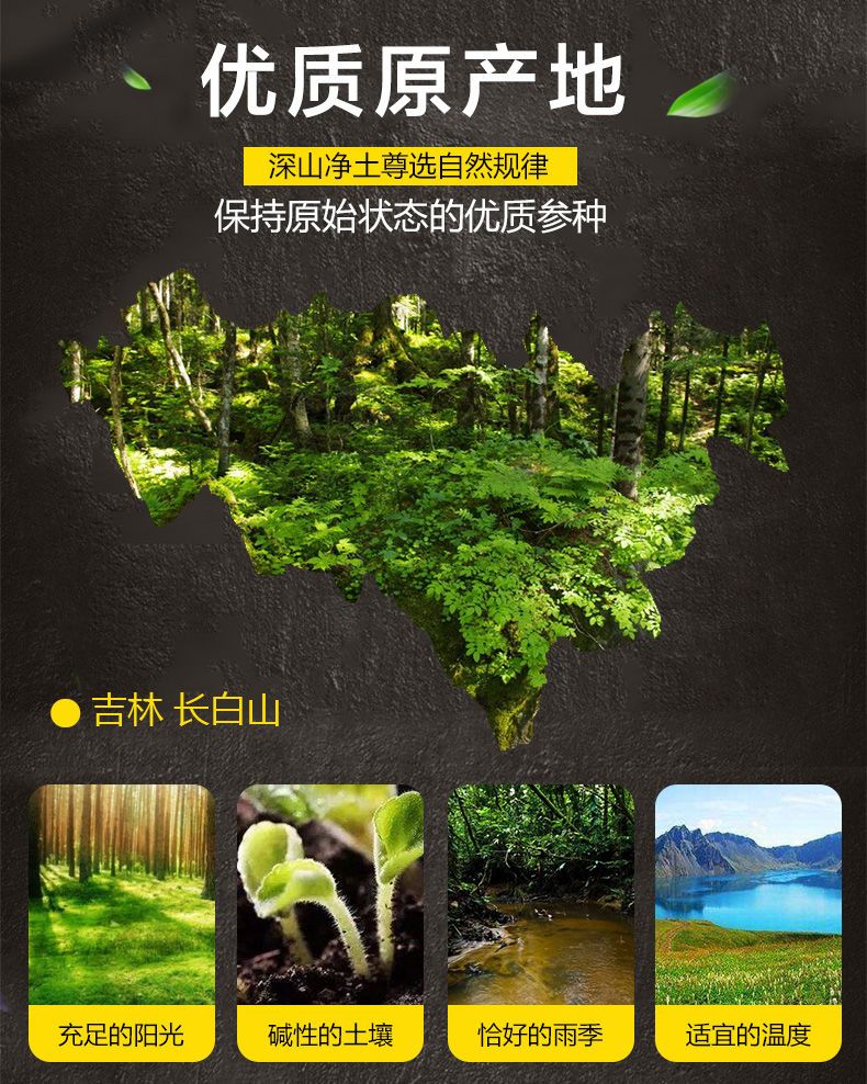 10年8年大人參長白山鮮人參特大泡酒人參帶土東北特產(chǎn)包郵