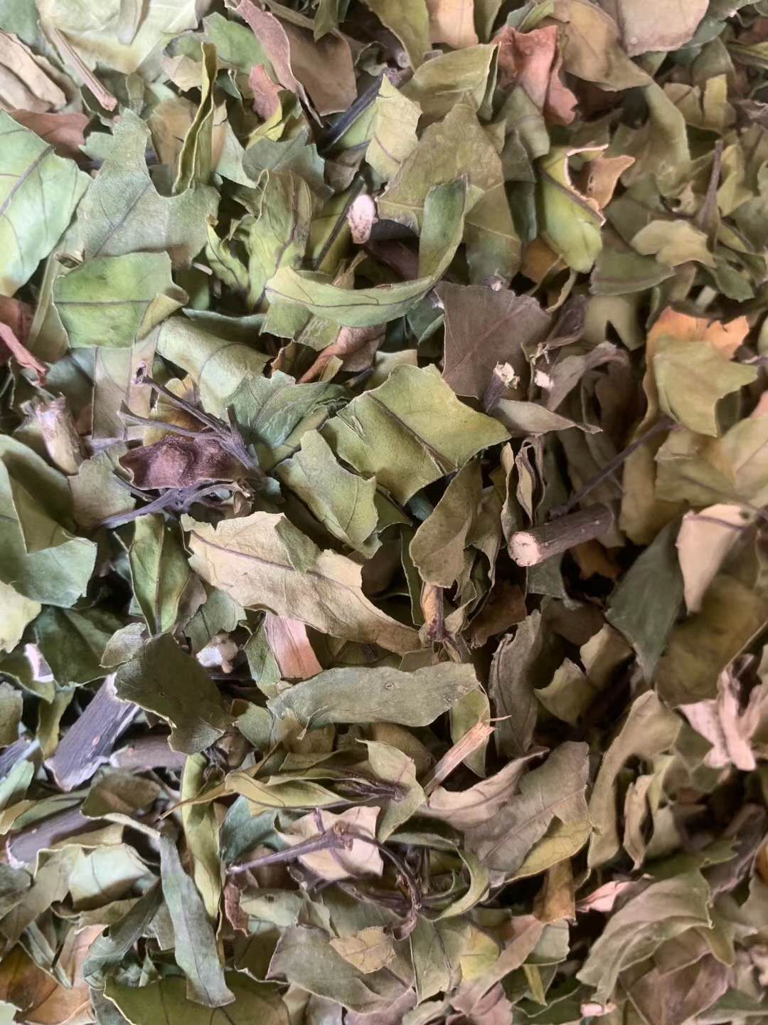 长期供应｛接骨草小驳骨｝可批量可零售量大从优【包邮】