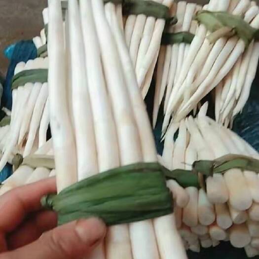 文山市 云南文山象牙菜，草牙