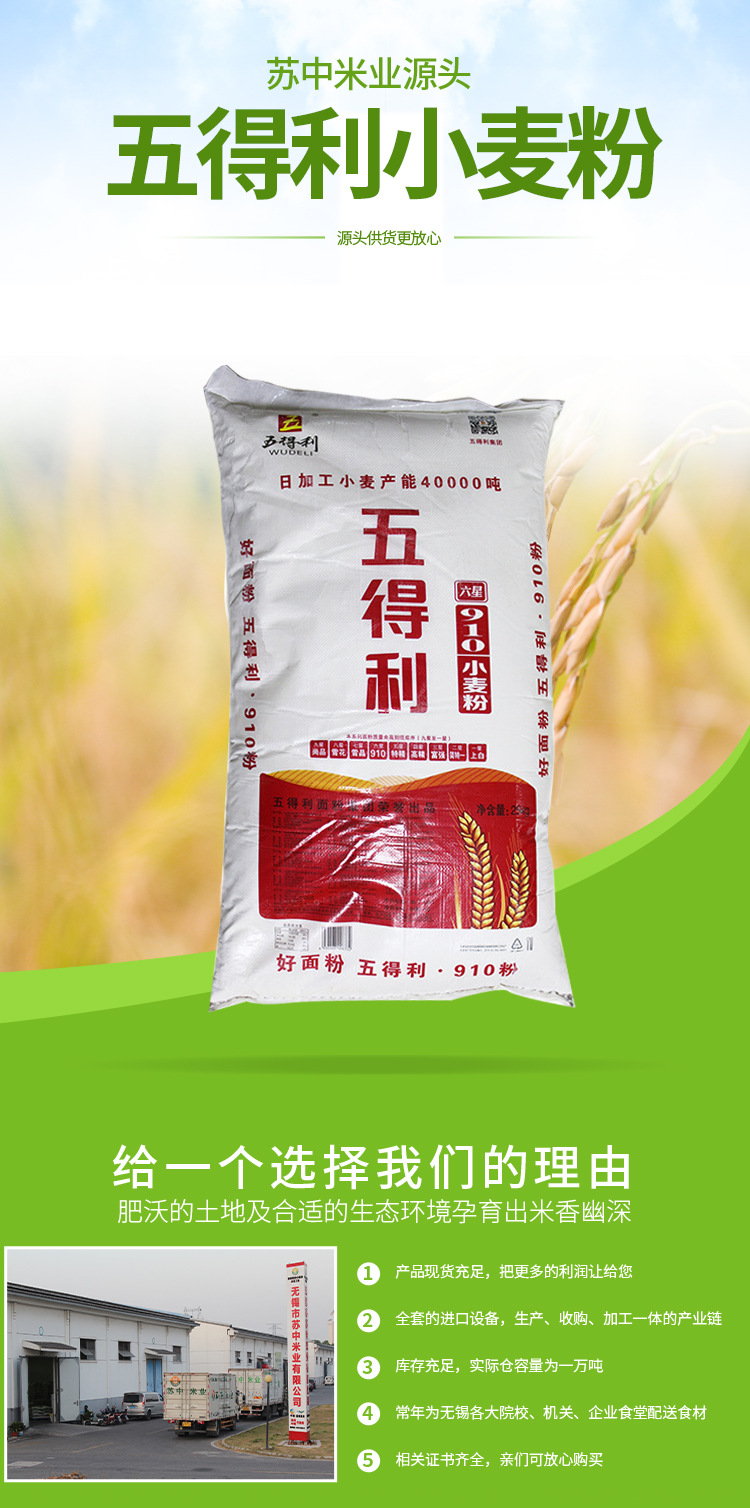 面筋粉 五得利六星910小麦粉25kg面粉馒头包子饺子中式面