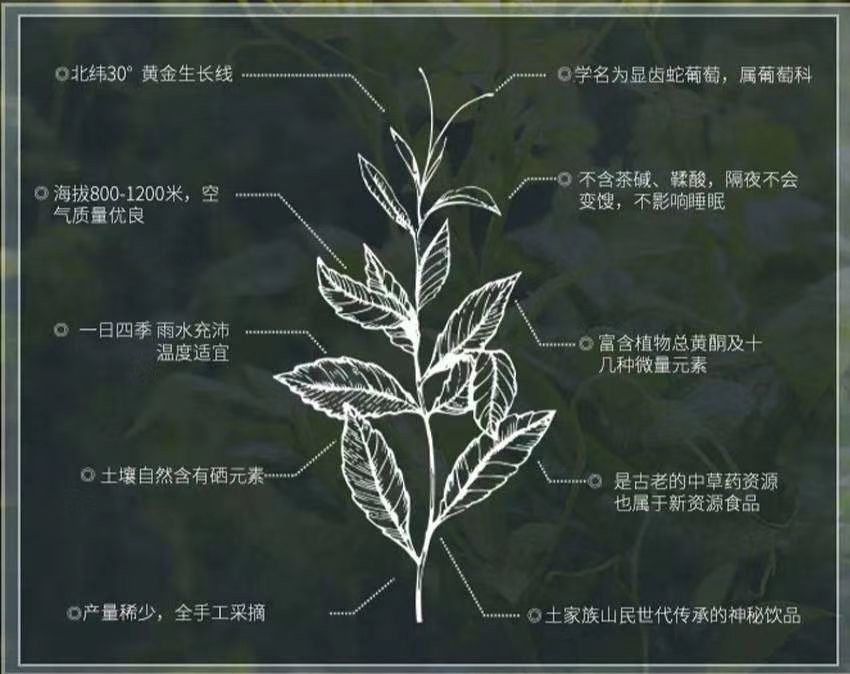  张家界莓茶