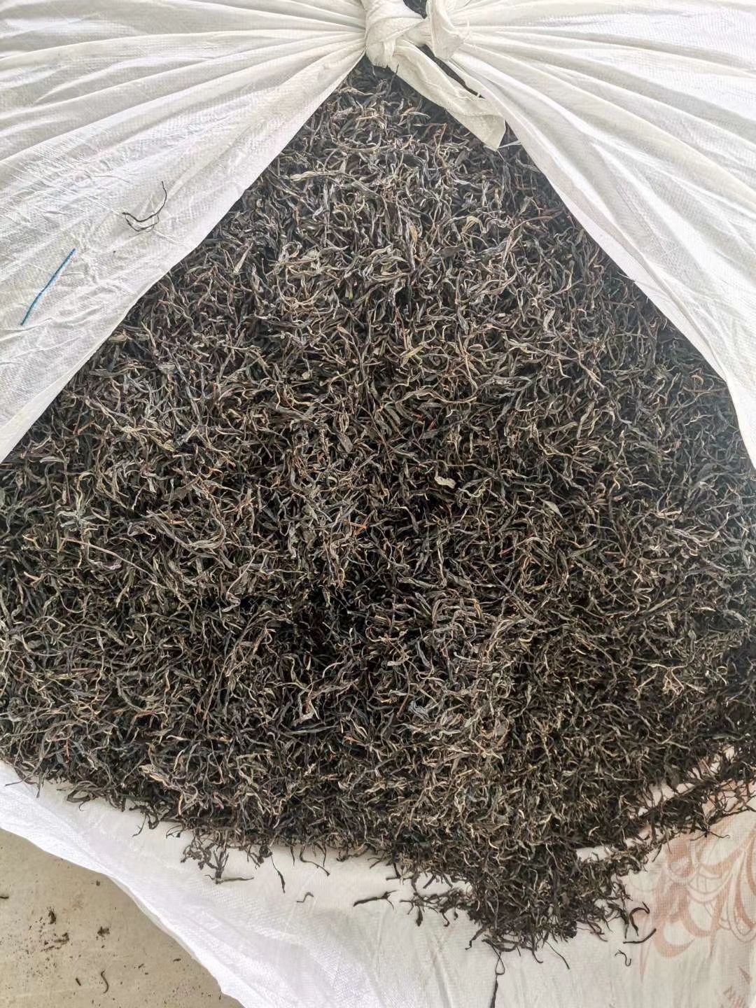  春茶上市，纯手工古树茶！用细心做好茶！欢迎您的预订！