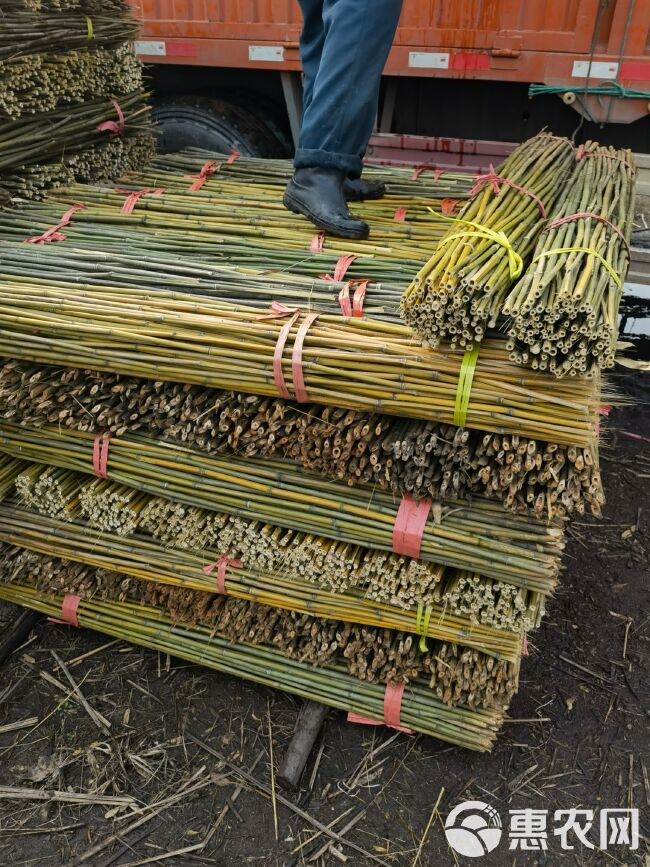 竹竿  1.5米至2.2米 火龙果专用 山药架