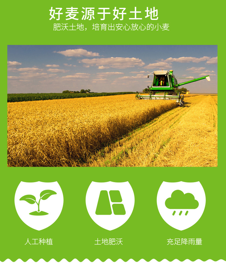 面筋粉 五得利八星馒头用小麦粉25kg包子饺子馒头凉皮饭店用袋装