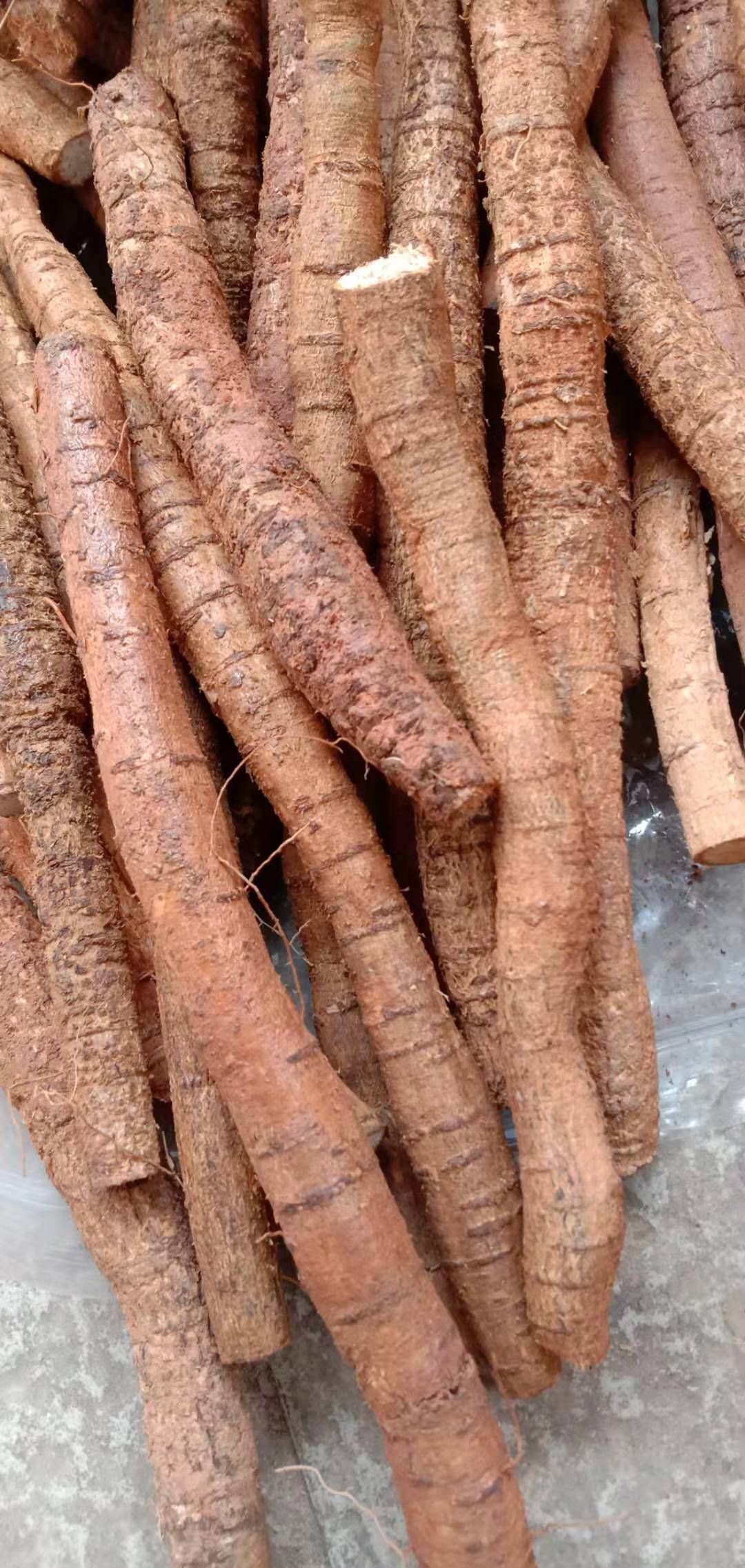 牛大力鲜货长年供应，量大从优，一包起直发