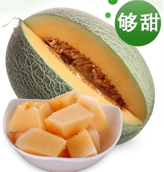 西洲蜜 新疆哈密瓜25年4月上市新疆直发包邮包售后