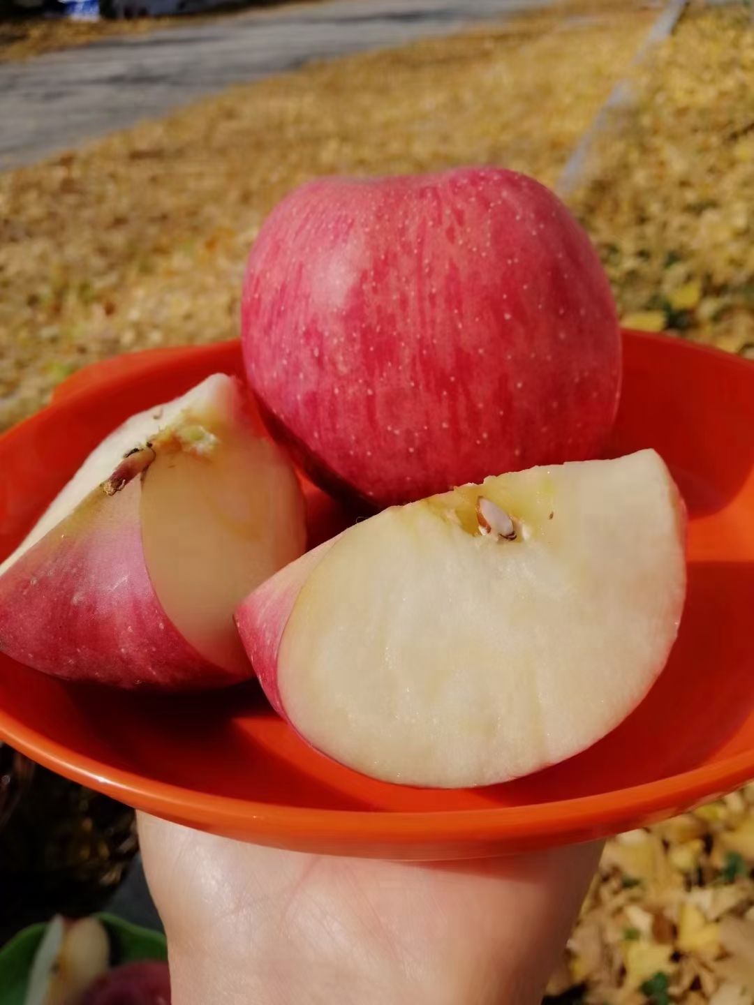  洛川红富士苹果