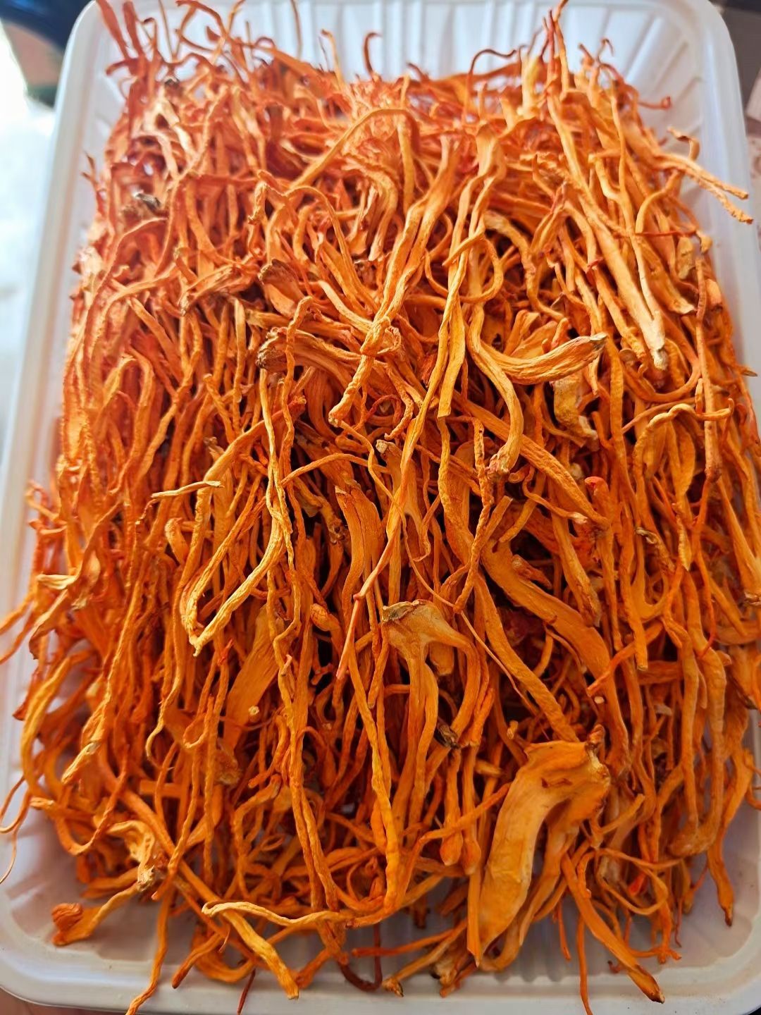 北虫草  【优惠包邮】虫草花，是一种中药材，营养高适合炖汤喝