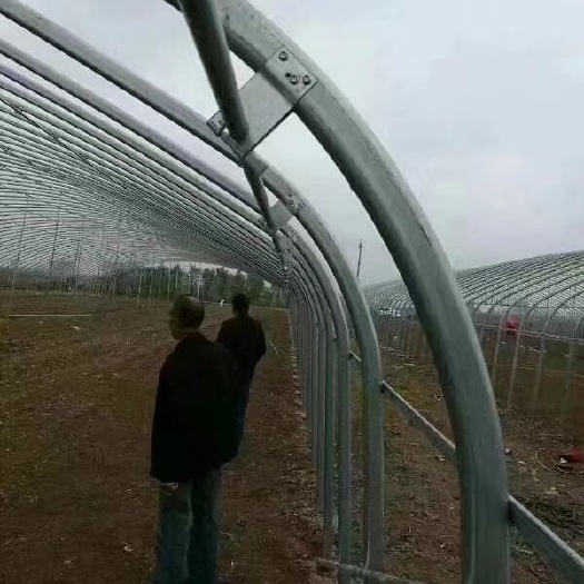 天津 大棚骨架