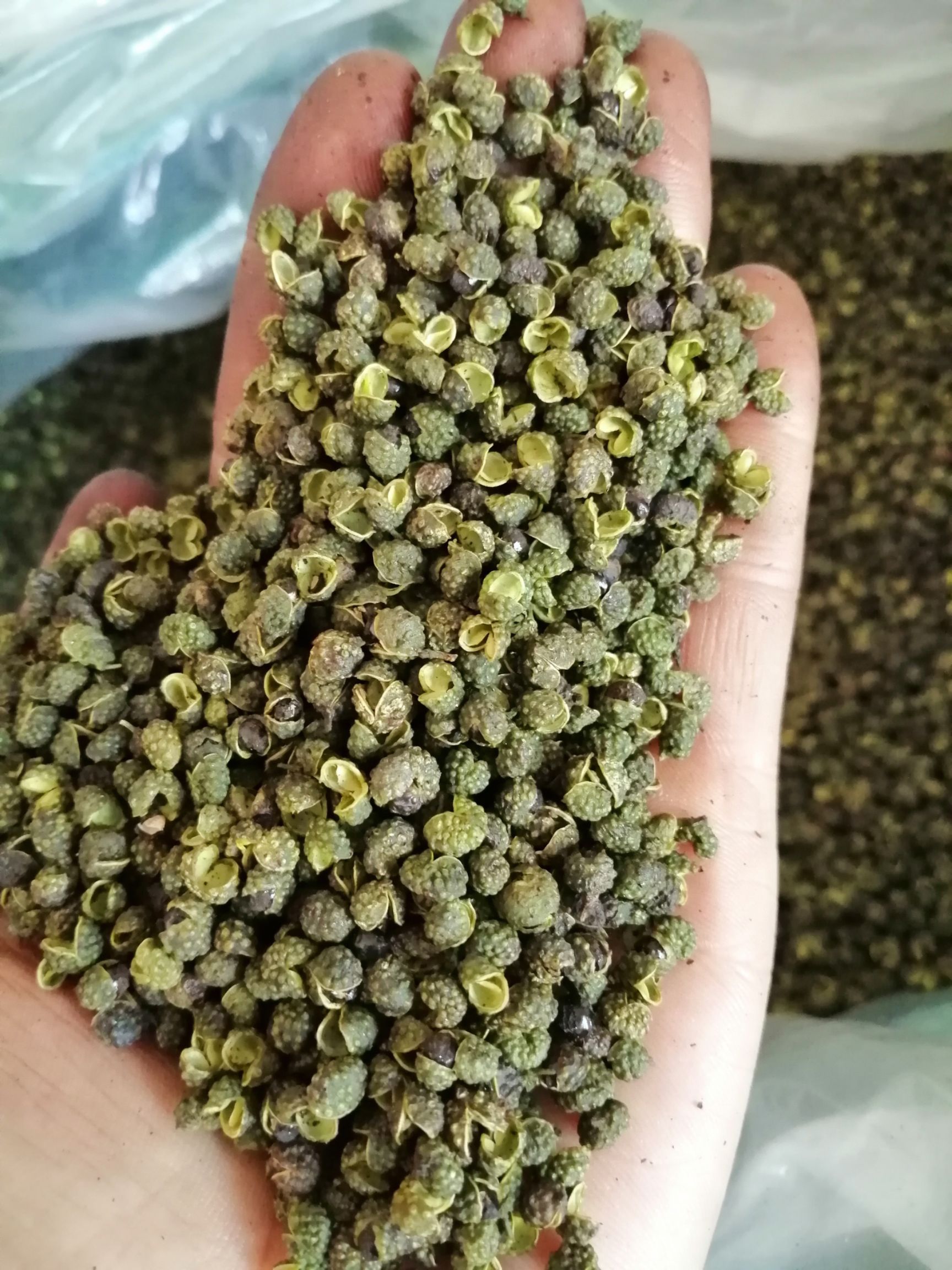 四川 青麻花椒     麻味十足一件代发保质保量