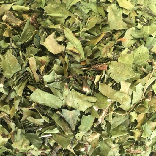 长期供应｛接骨草小驳骨｝可批量可零售量大从优【包邮】