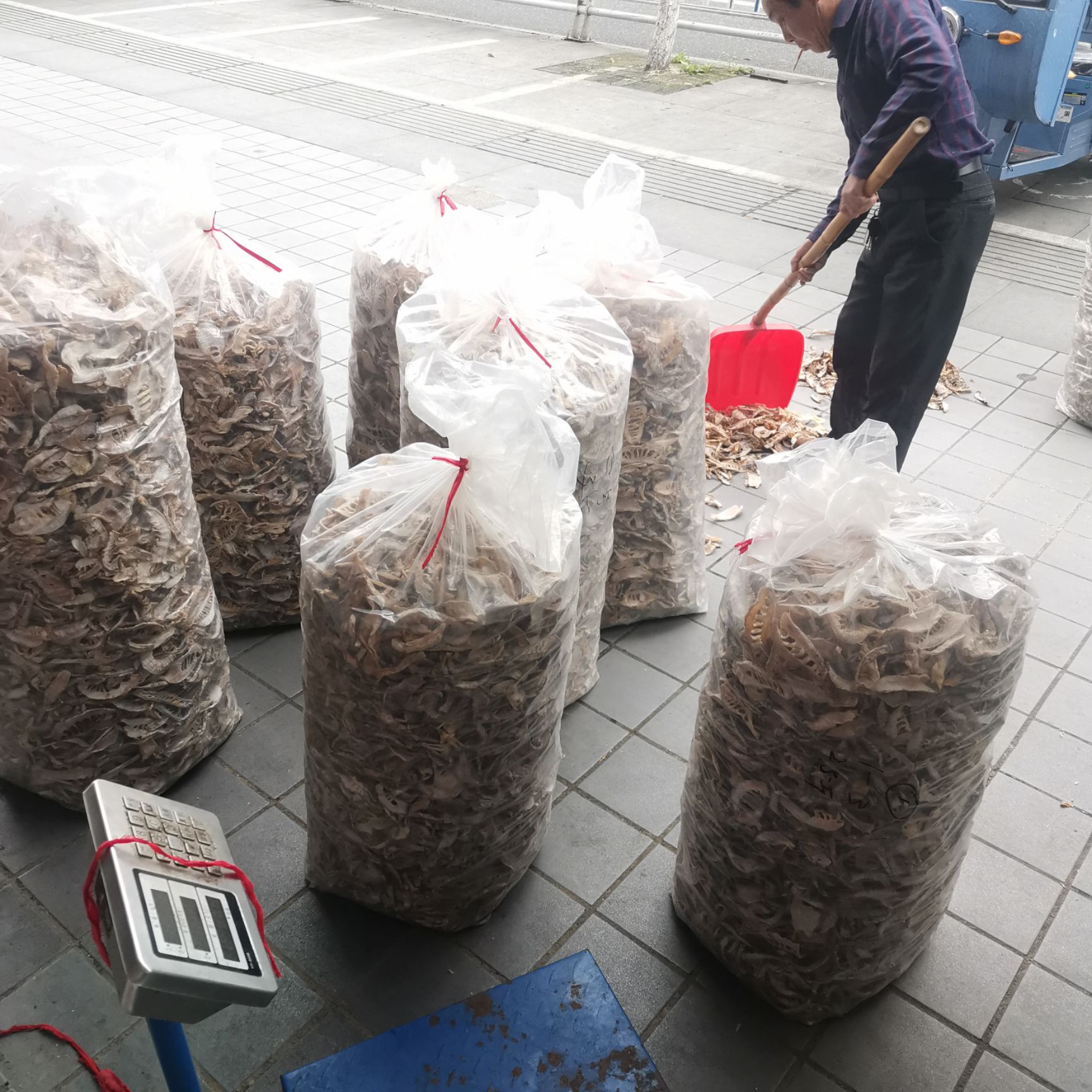 安徽绩溪县毛竹笋干冬笋片量大批发