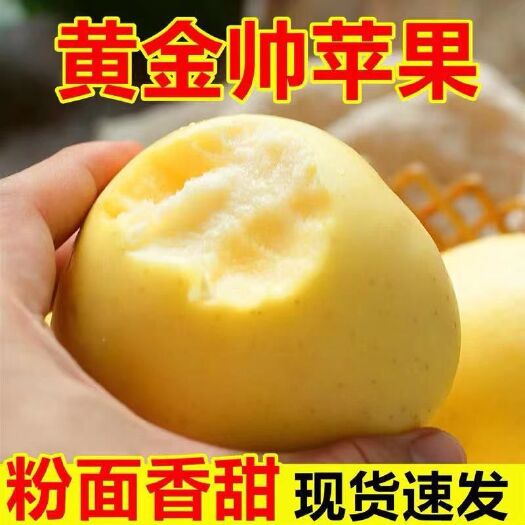 大石桥市【粉面香甜】黄元帅苹果水果奶油苹果新鲜采摘产地直供整箱包邮