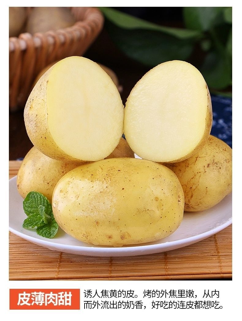 农家自种土豆新鲜蔬菜现挖黄心土豆马铃薯产地直发整箱超值包邮