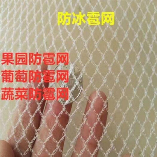 安平县 防冰雹网苹果葡萄防雹网高密度聚乙烯果园农田园艺无结防冰雹用品