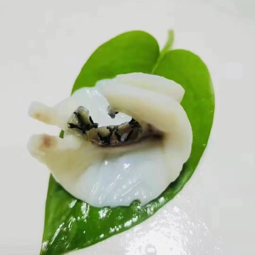 长沙海鲈鱼  酒店宴席烧烤鱼系列厂家直销
