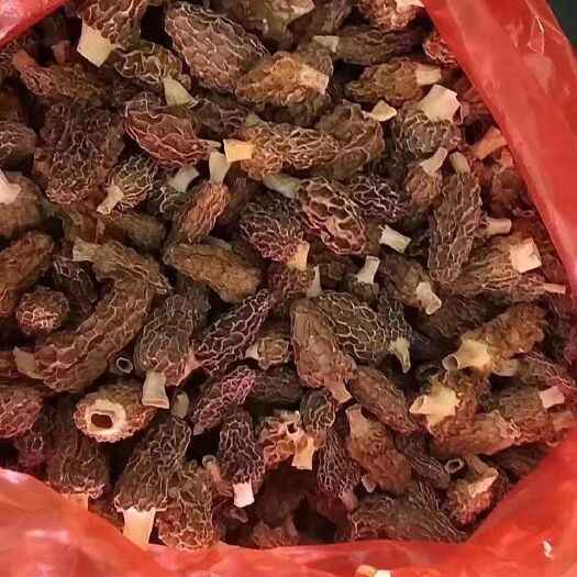 蕲春县大别山纯野生羊肚菌精品干货500克，懂行的看过来，非种植货