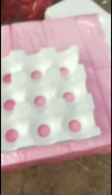 永济市苹果托 