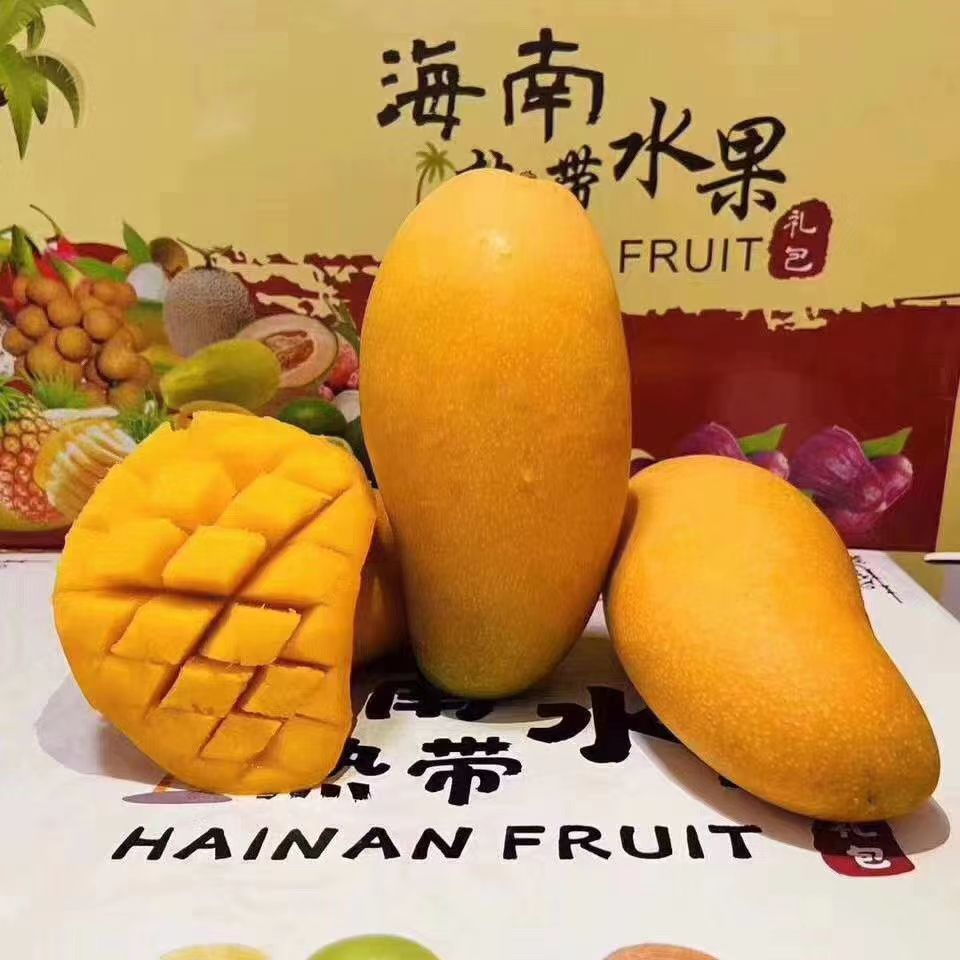 台农芒  芒果