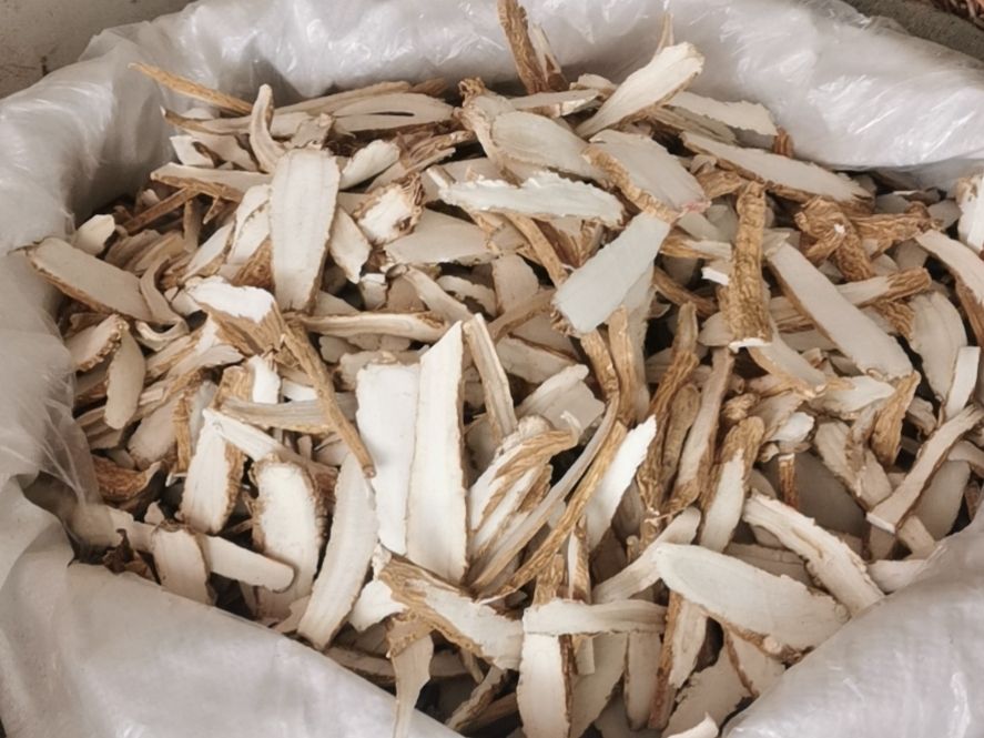 川白芷 白芷斜片，大圆片，中圆片，一手货源