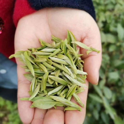 桂林绿茶 新茶，明前茶。凤冈锌硒茶