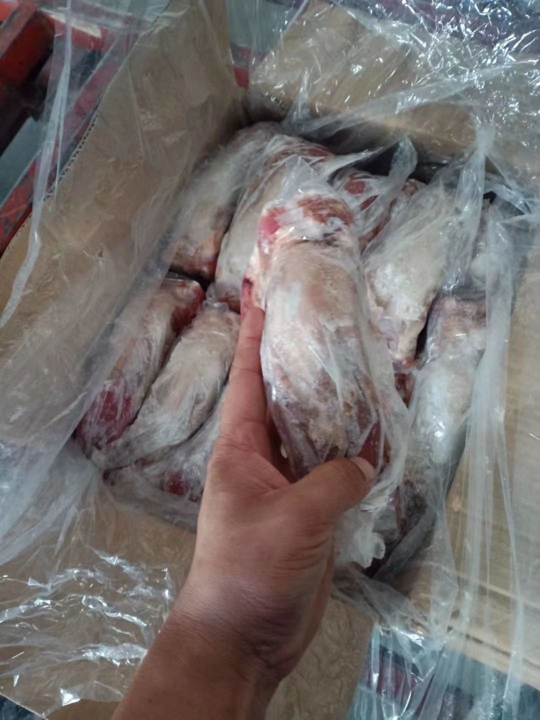 猪舌头，猪口条，猪舌尖