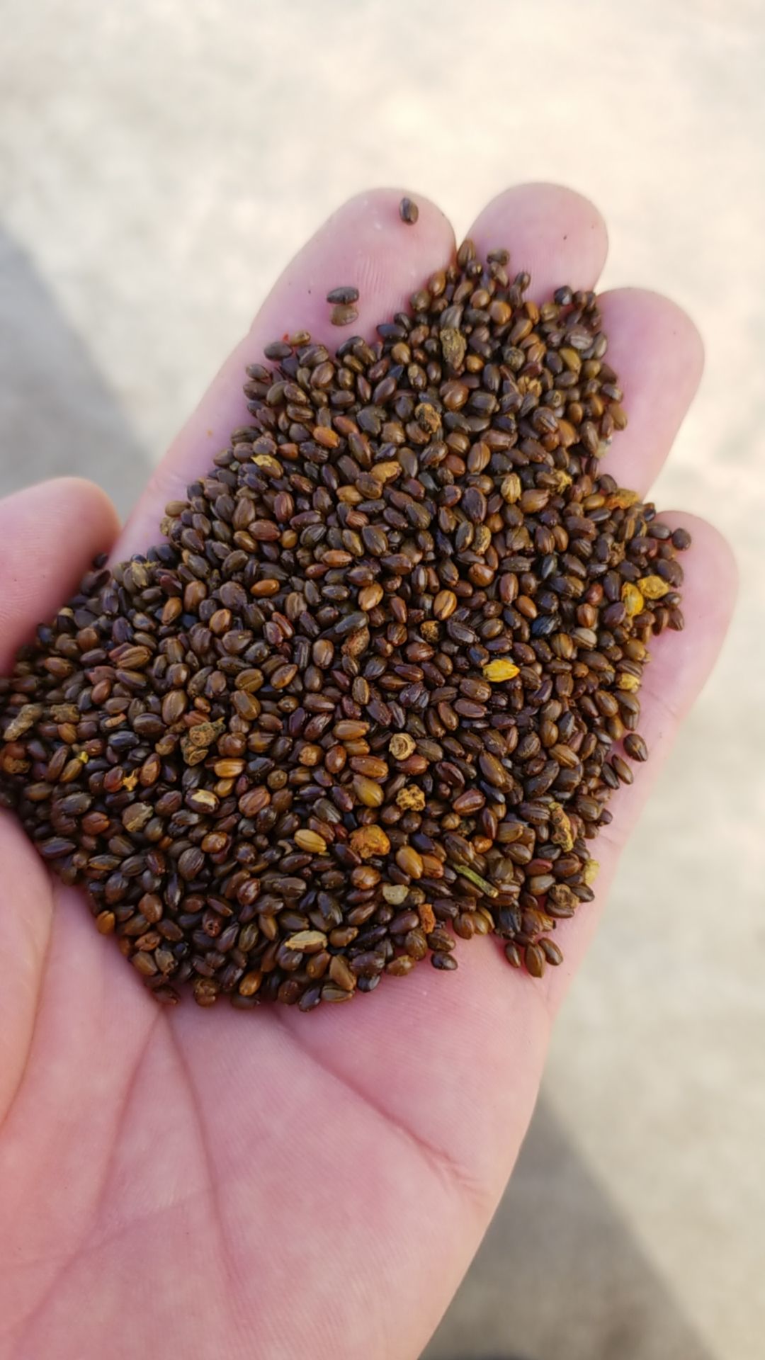 欢迎来到惠农网!