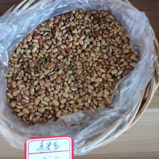 宁化县大豆 赤米豆
