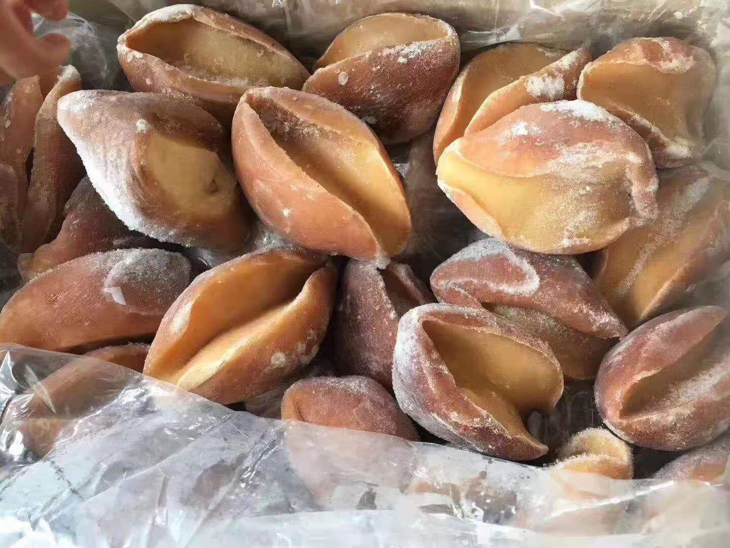  黄金鲍螺 帝王鲍 螺片鲍螺肉熟冻鲍螺