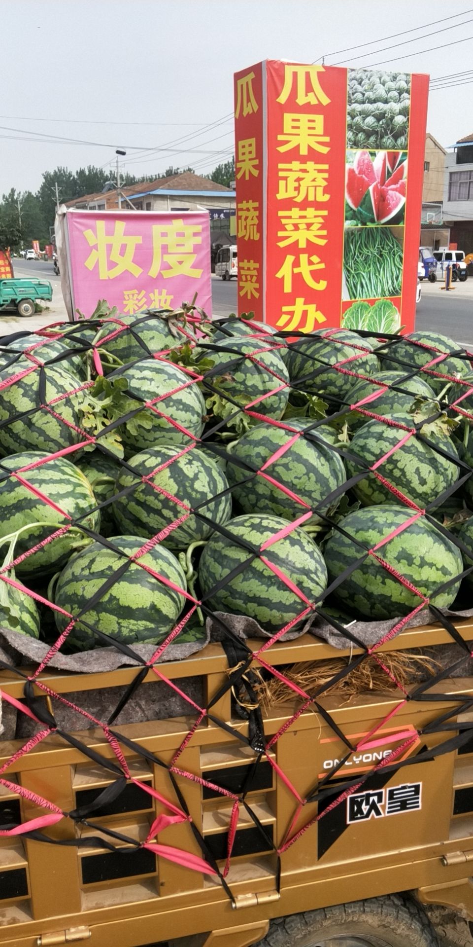 【优选精品】精品美都西瓜，产地直供、商超品质