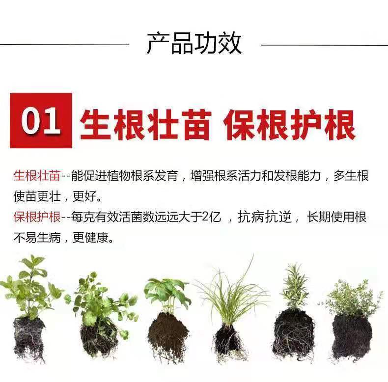 复合微生物肥 生物有机菌肥 有机肥 全水溶颗粒肥