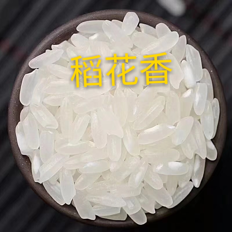 香米  东北大米 五常稻花香大米 寒地黑土一年一季 产地直销