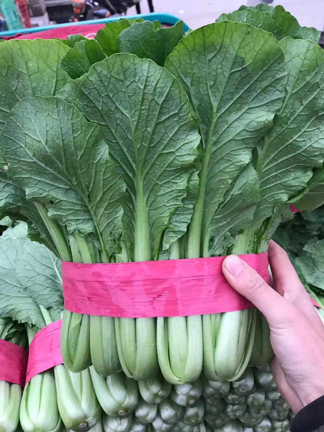 河北邯郸，小白菜，上海青，产地直发，质量保证，提供包装，……