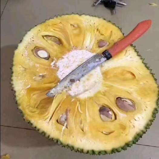 儋州市 菠萝蜜