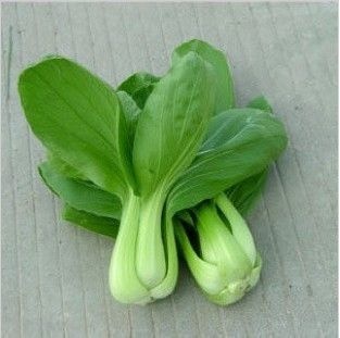 深圳 上海青