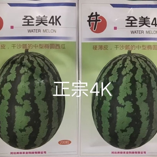 扶沟县全美4k西瓜种子  西瓜种子全美4K西瓜种子~皮薄耐裂性强单